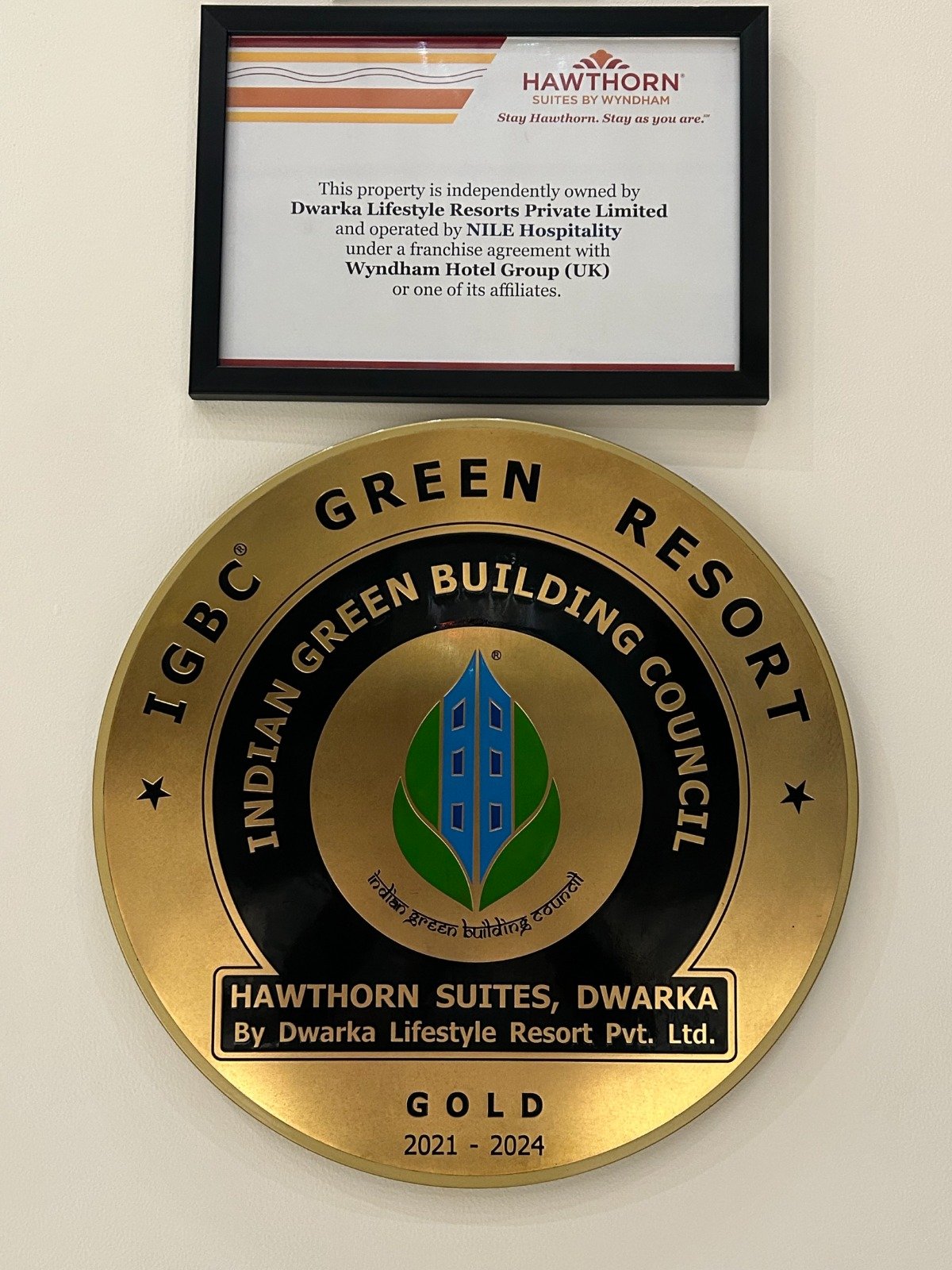 Award & Certificate 1